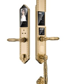 KHOÁ ĐIỆN TỬ HYUNDAI HY-SLC8818 GOLD